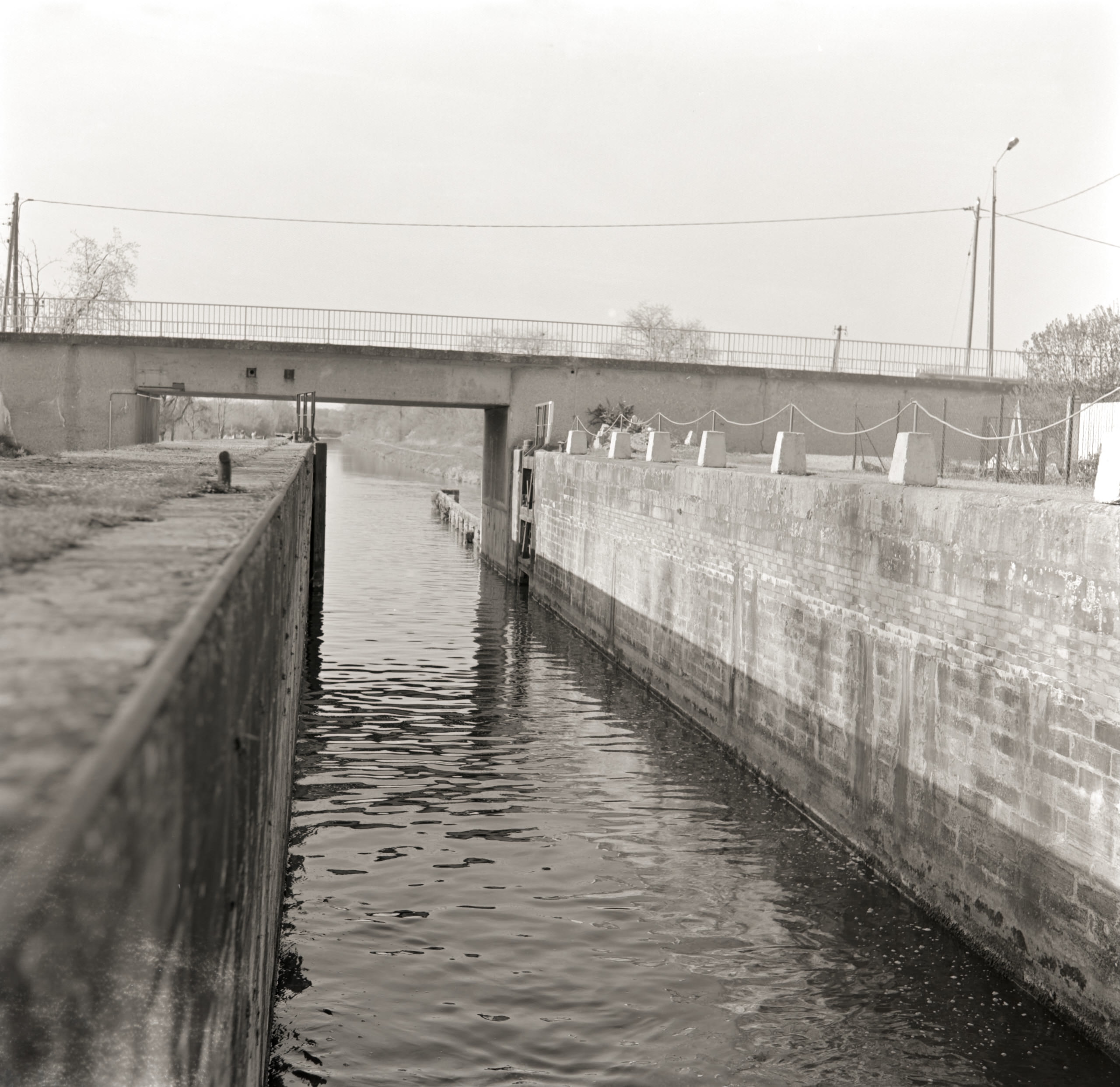 AHP FilmScan 240808 0994